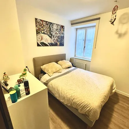 Grand Et Lumineux 2 Pieces En Zone Pietonne Apartment Haguenau Exterior photo