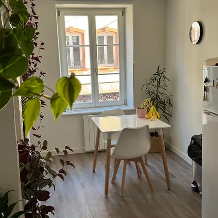 Grand Et Lumineux 2 Pieces En Zone Pietonne Apartment Haguenau Exterior photo