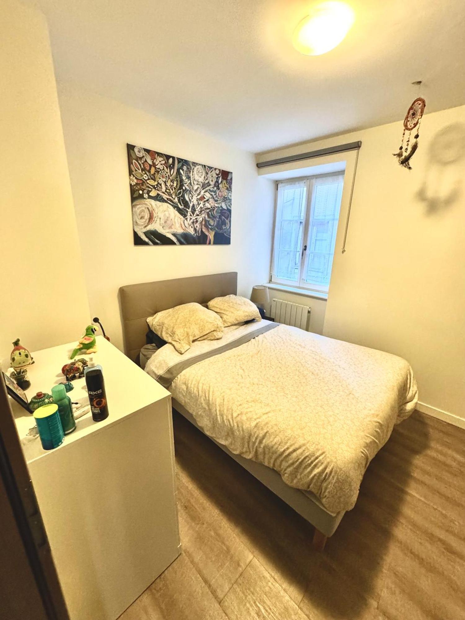 Grand Et Lumineux 2 Pieces En Zone Pietonne