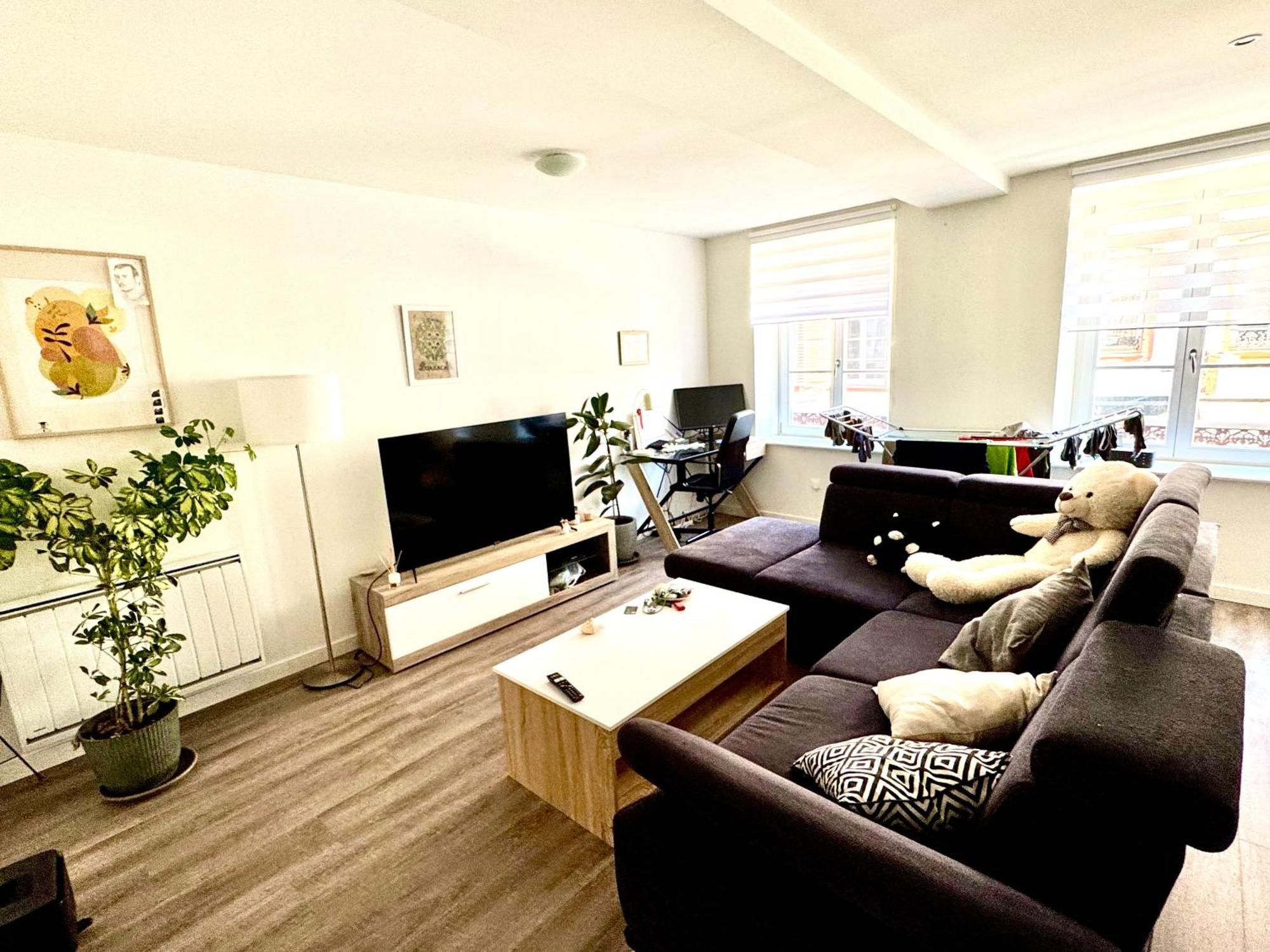 Grand Et Lumineux 2 Pieces En Zone Pietonne Apartment Haguenau