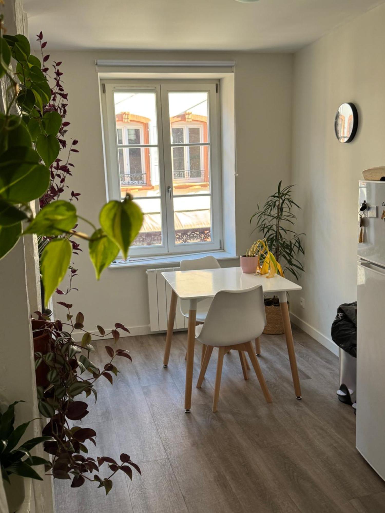 Grand Et Lumineux 2 Pieces En Zone Pietonne Apartment Haguenau