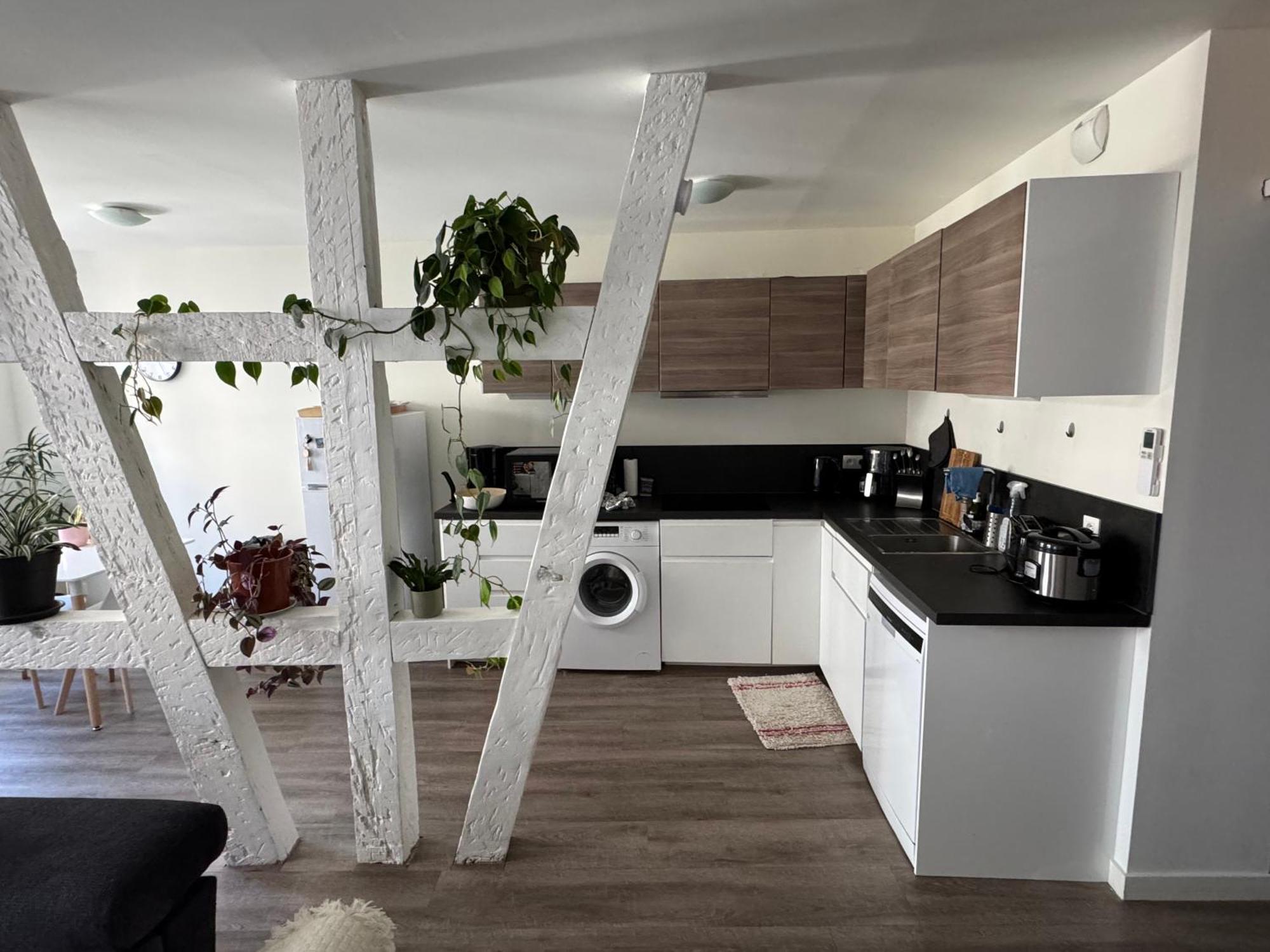 Apartment Grand Et Lumineux 2 Pieces En Zone Pietonne *